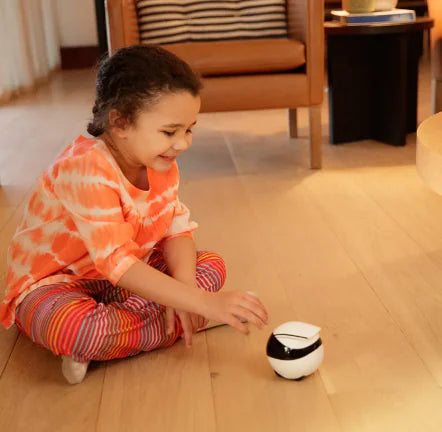 Smart Companion Robot Camera