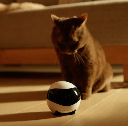 Smart Companion Robot Camera