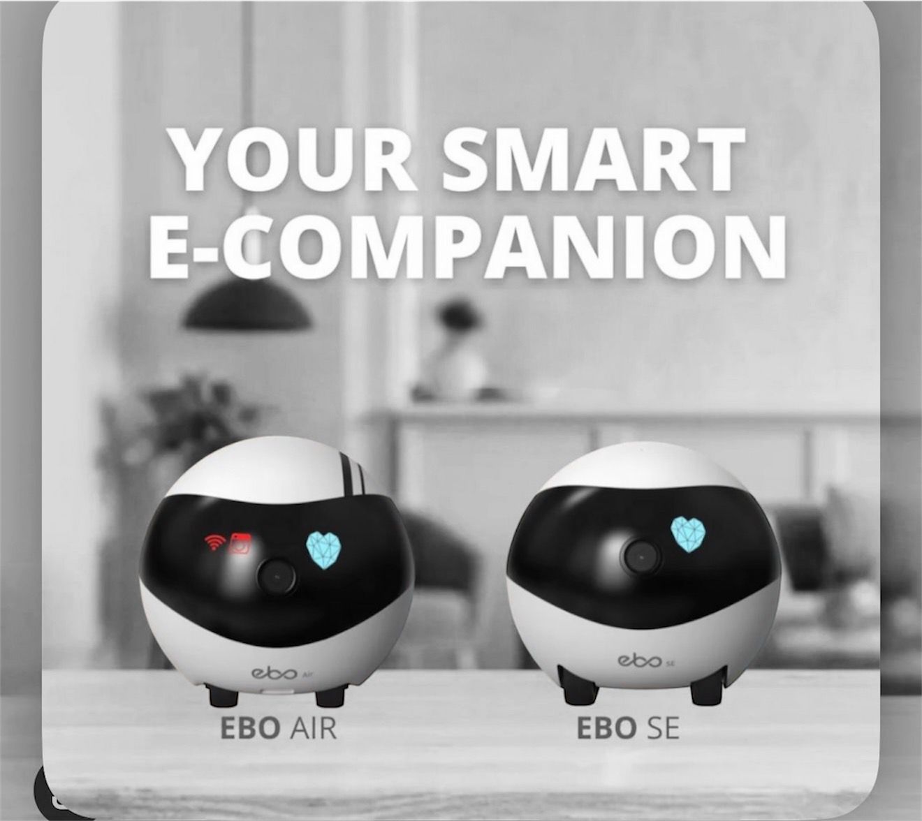 Smart Companion Robot Camera